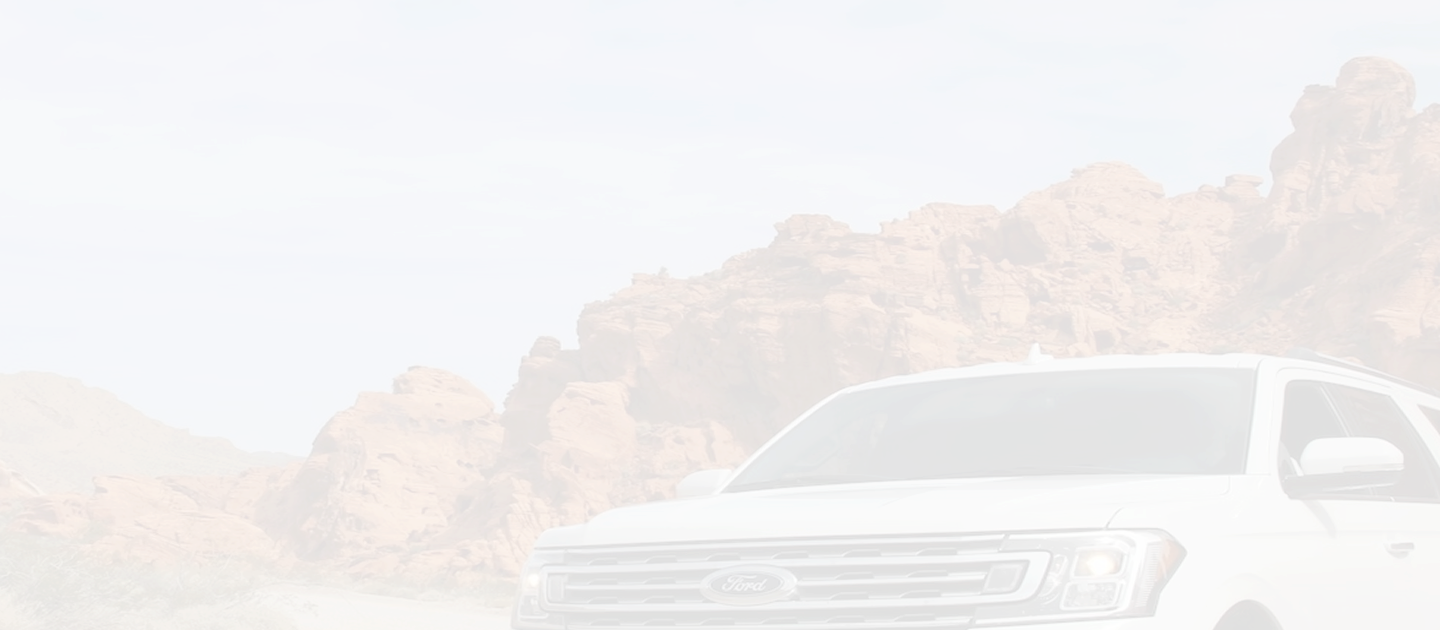 Banner Home Raio-X Veicular